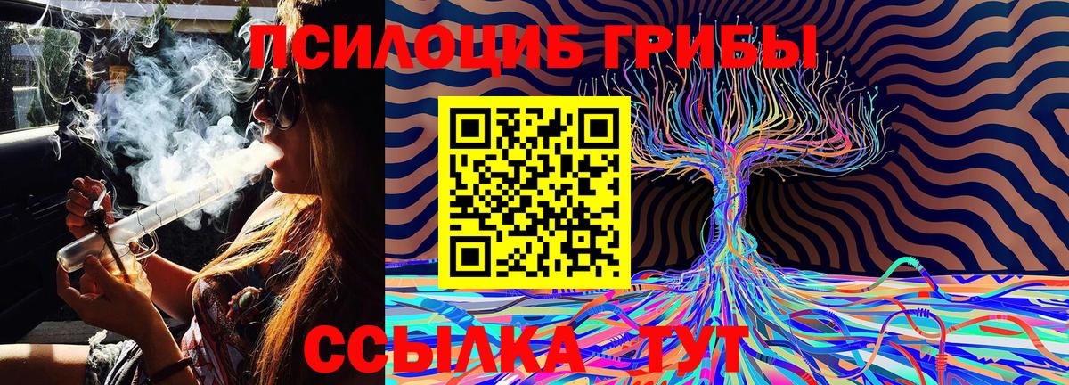 Галлюциногенные грибы Psilocybine cubensis Малоярославец