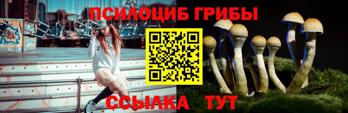 Псилоцибиновые грибы Psilocybine cubensis  Вход с VPN  Псилоцибиновые грибы Cubensis  Малоярославец 